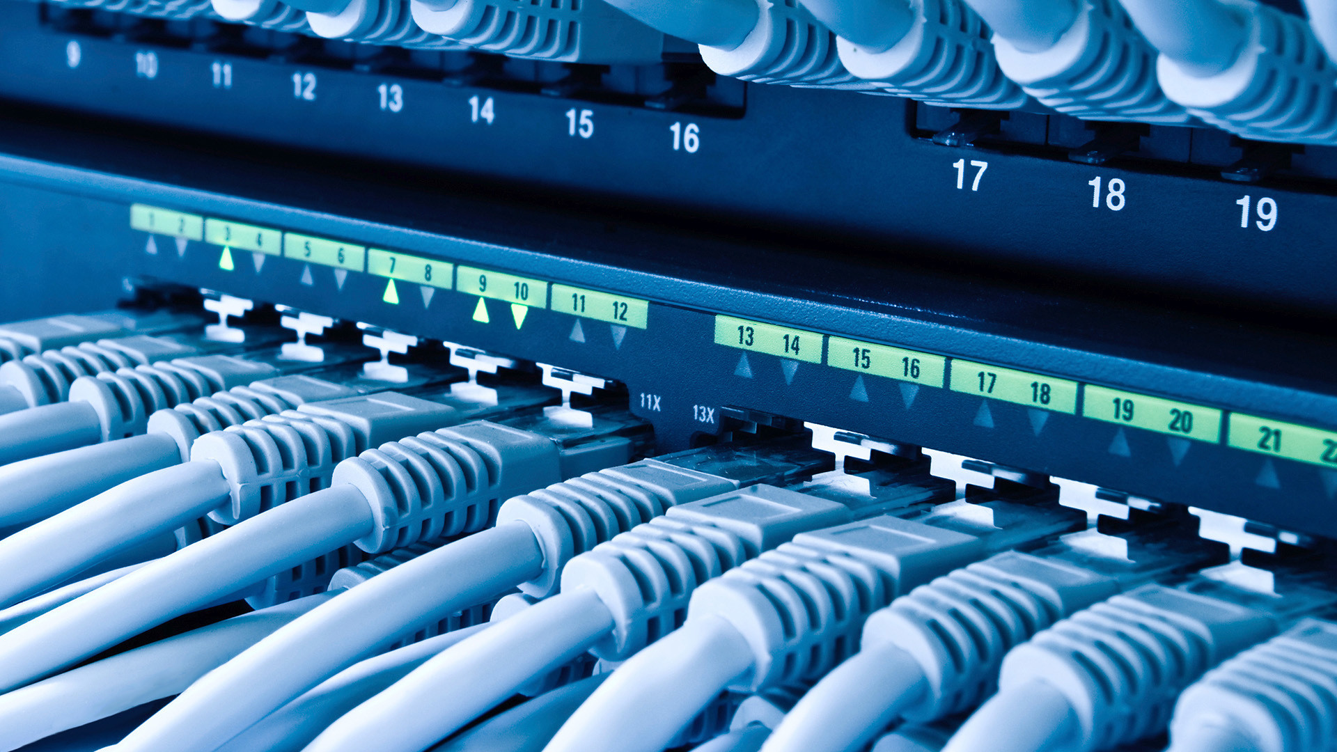 L'Importance du Réseau Professionnel