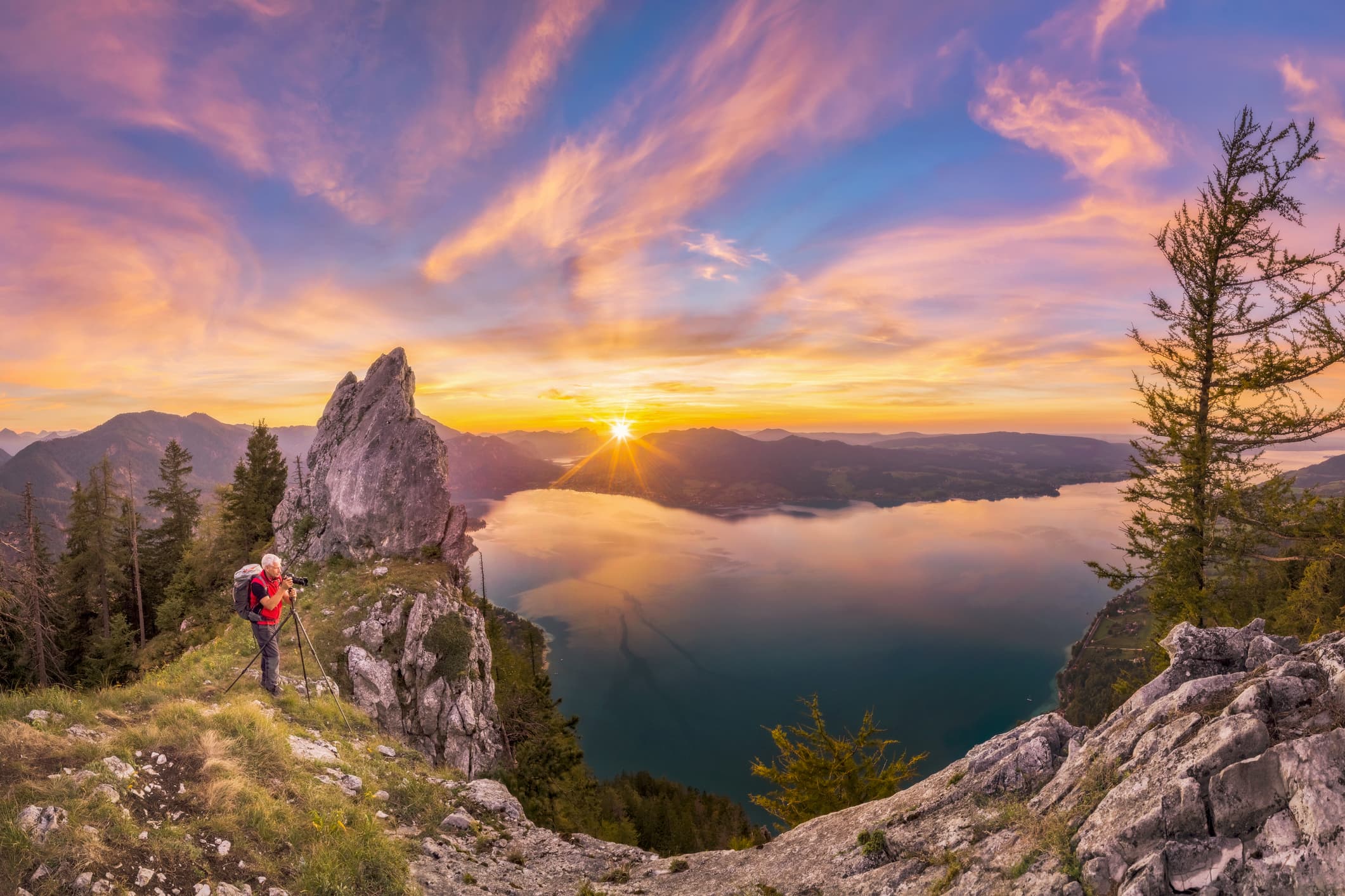 Les Tendances de la Photographie