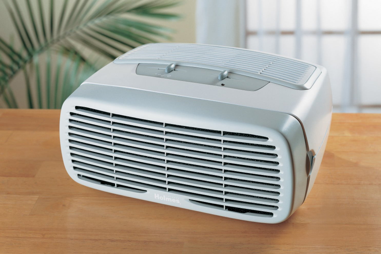 Plantas de Interior que Purifican el Aire