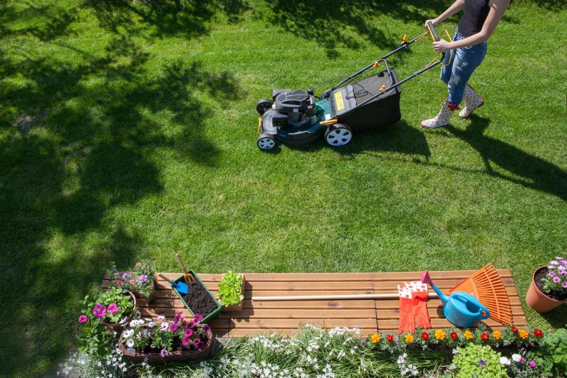 Top Tips for Maintaining a Beautiful Lawn
