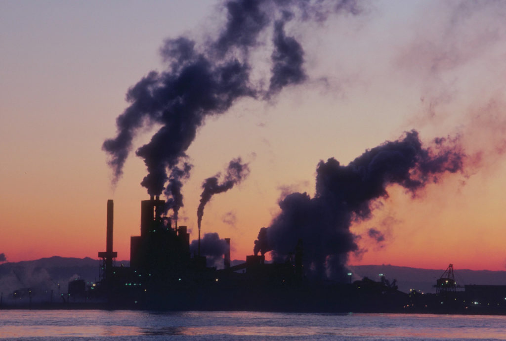 Miljøbevissthet: Trender som Gjør en Forskjell