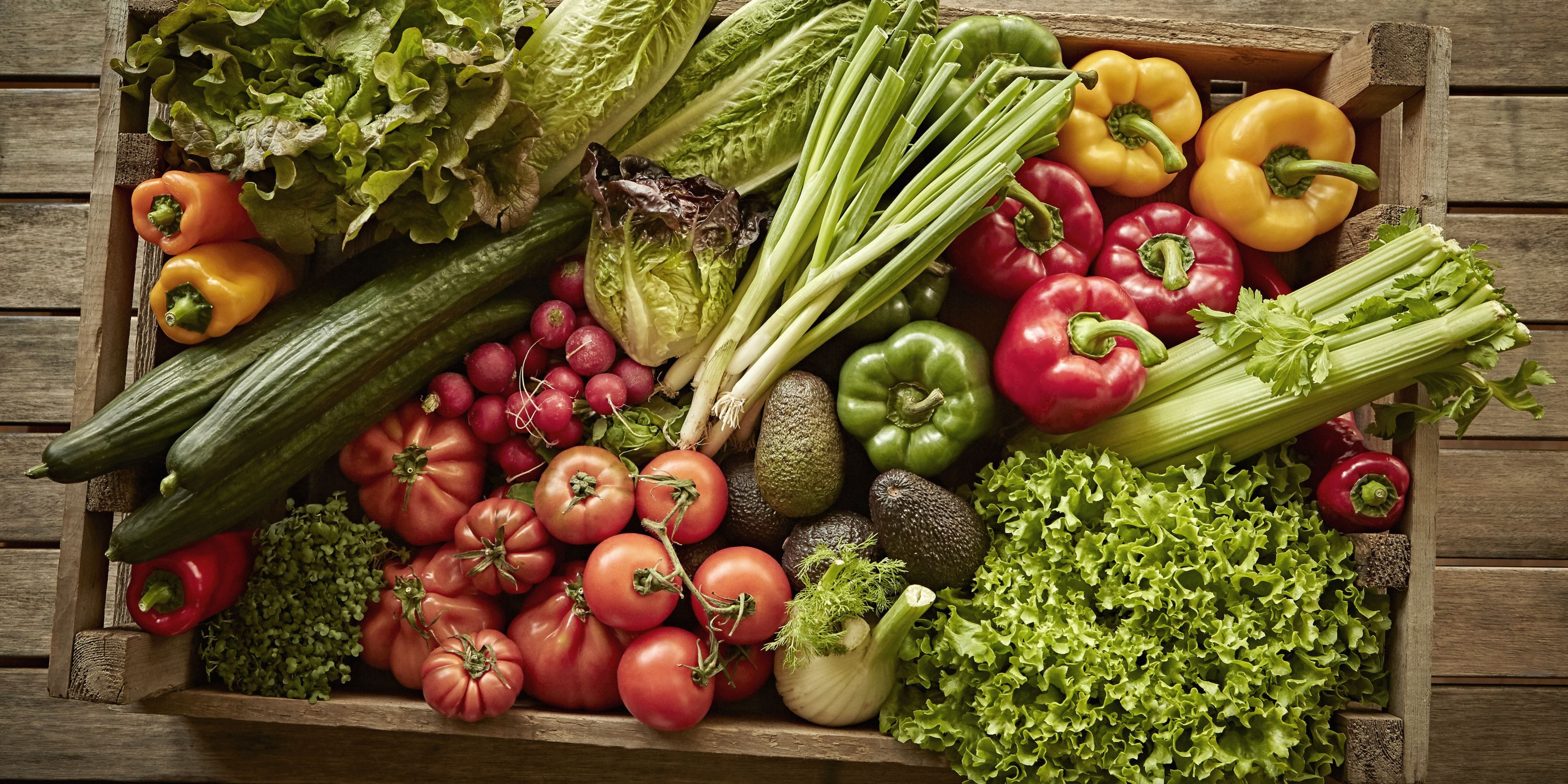 Alles over Biologische Producten