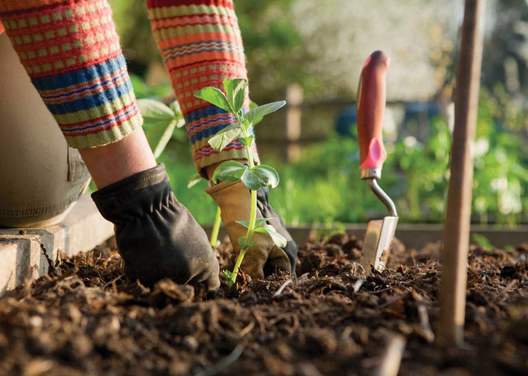 Idées de Bricolage pour le Jardin