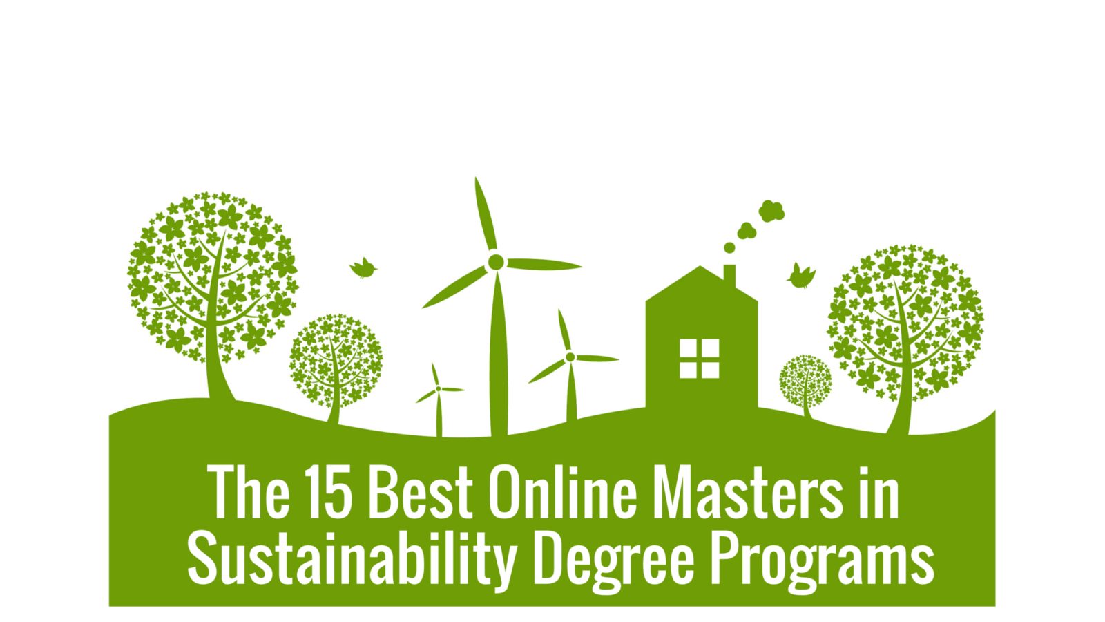 Tendencias en Sostenibilidad que Debes Conocer