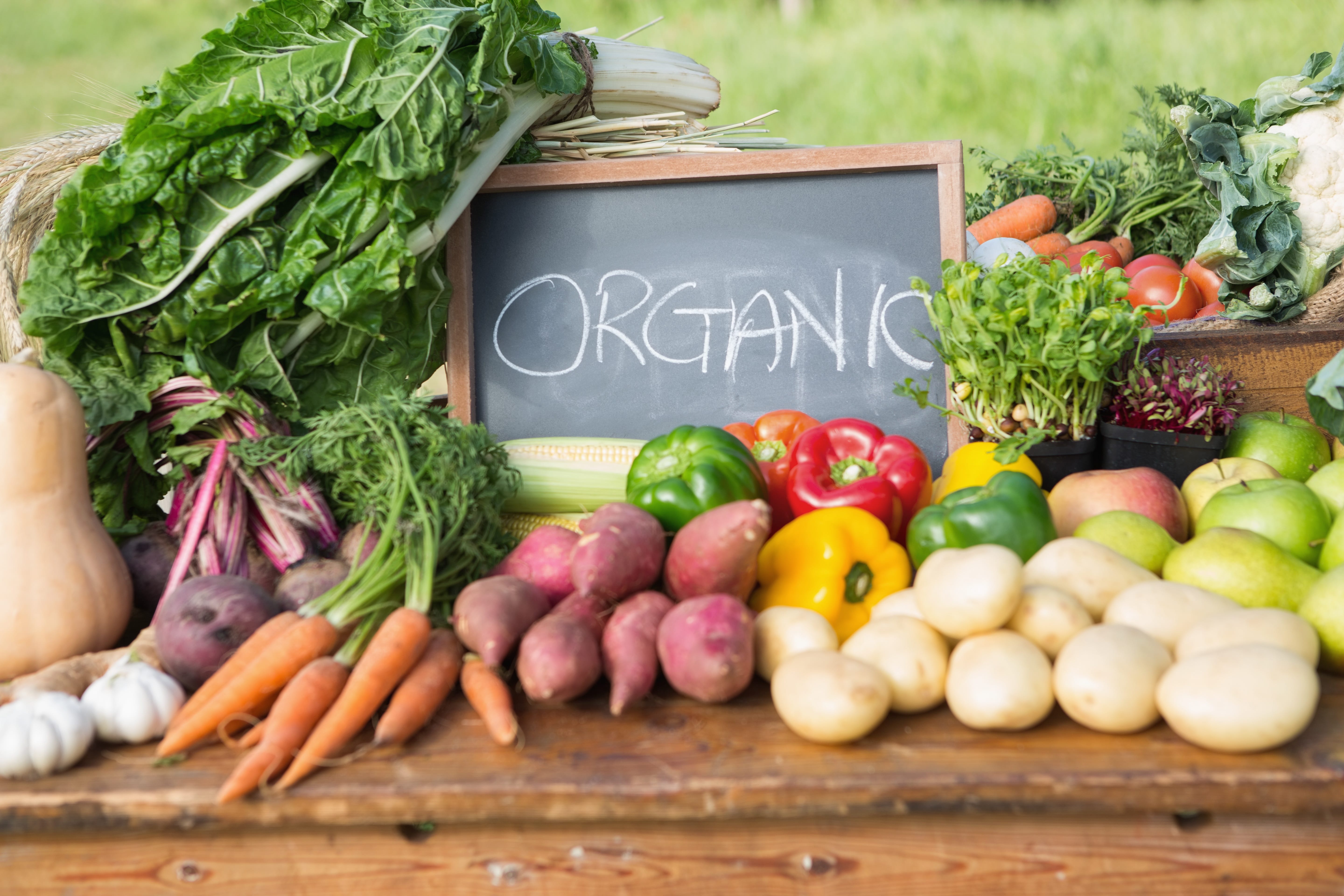 Understanding Organic vs. Non-Organic Produce