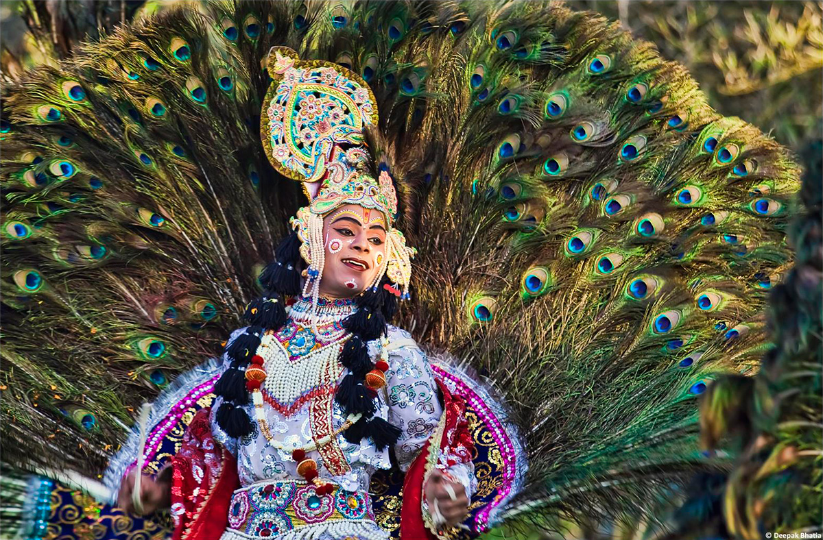 Cultural Trends That Are Making Waves