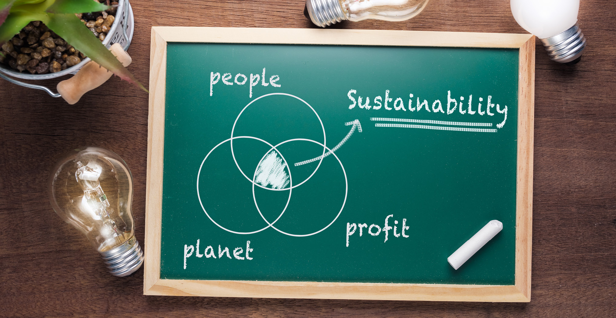 Sustainability: The New Trend in Business