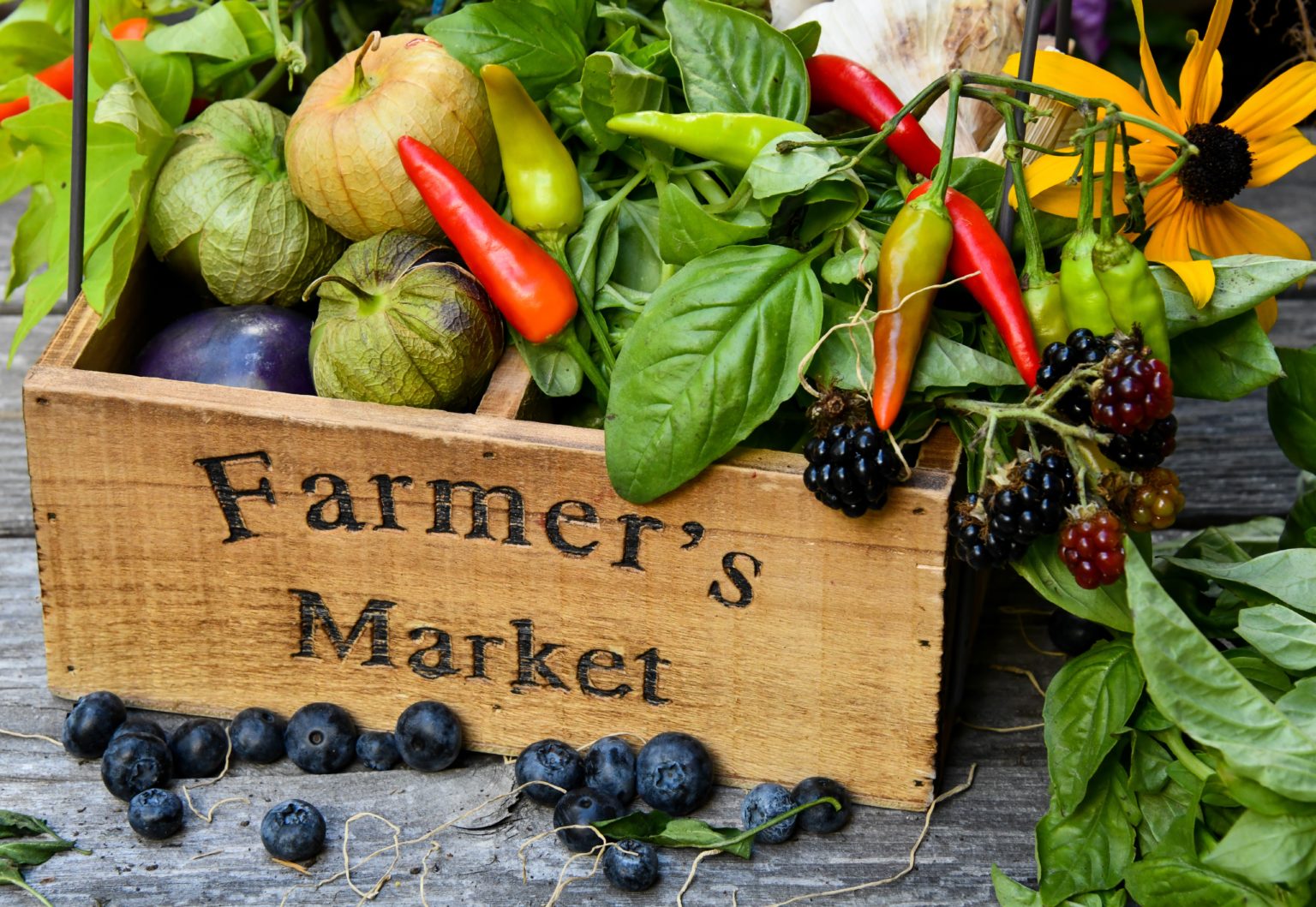 From Farm to Table: Supporting Local Farmers