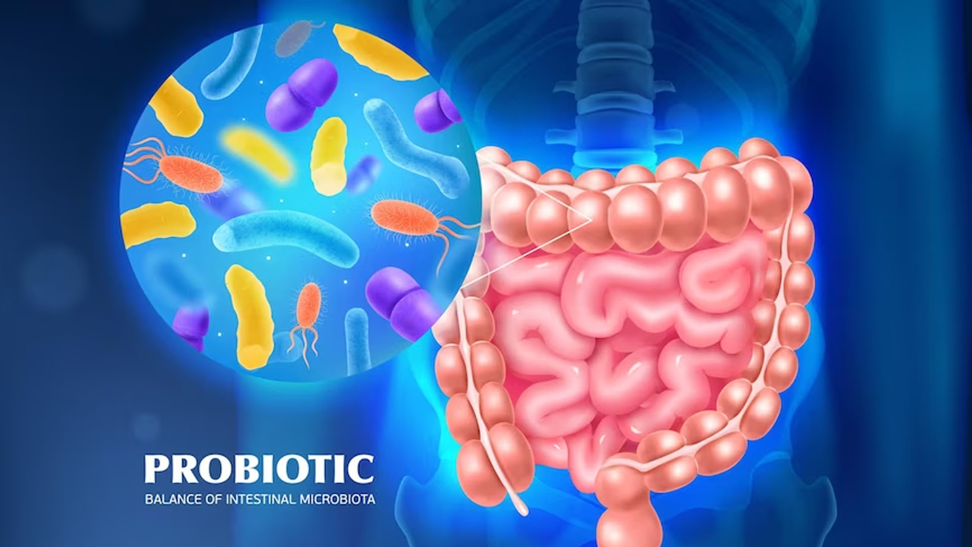 Gut Health: Why It Matters and How to Improve It