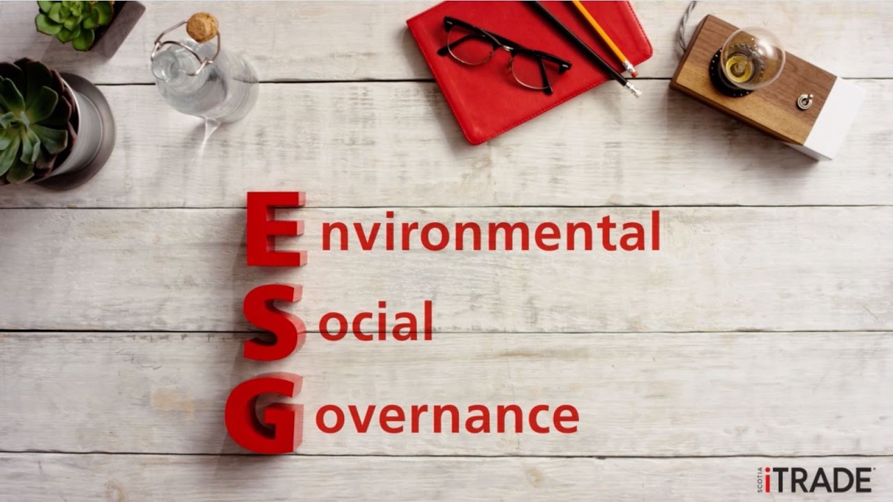 Les Principes de Base de l'Investissement Durable