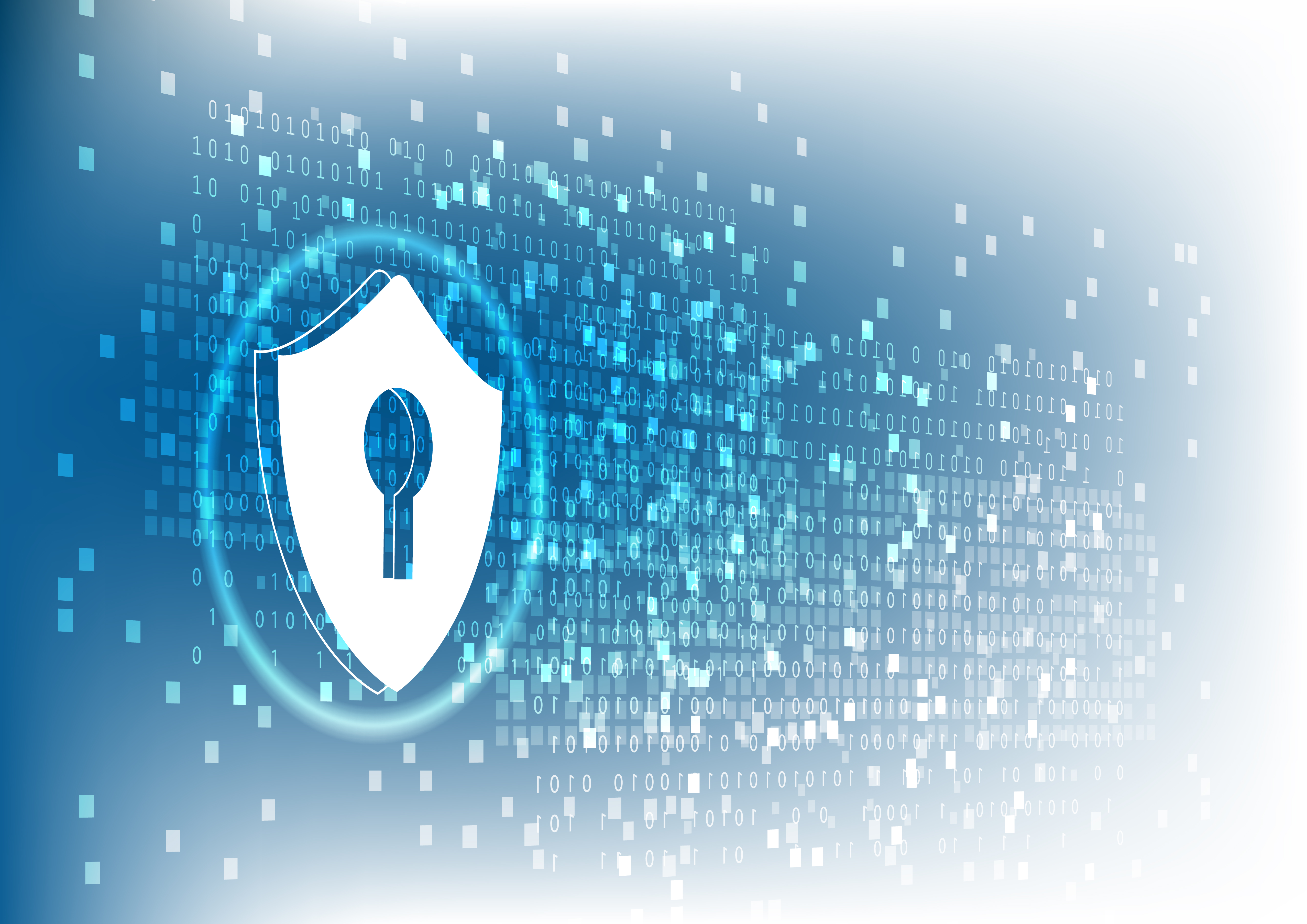 Cómo Proteger tu Información Personal en Internet