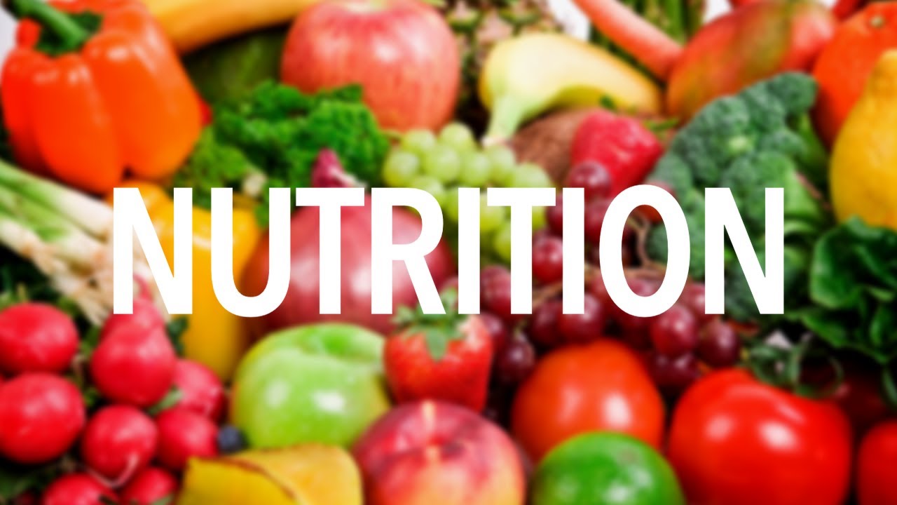 Understanding the Basics of Nutrition