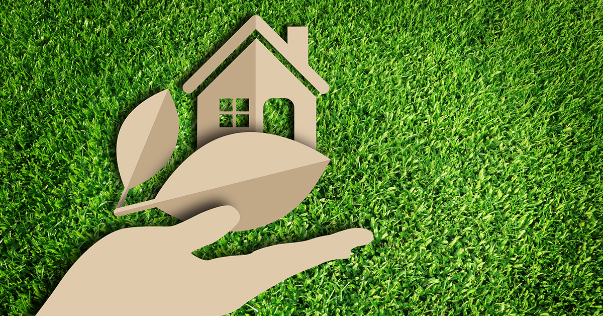 Ekologinen Sisustus: Vihreämpi Koti