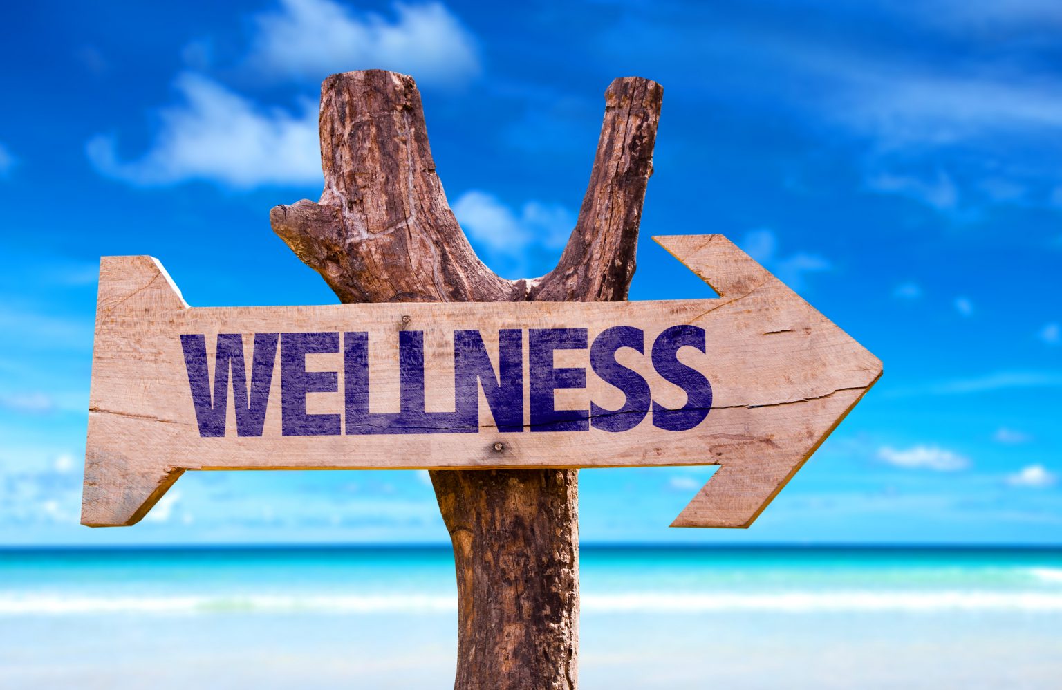 Ontspannende Wellness Vakanties