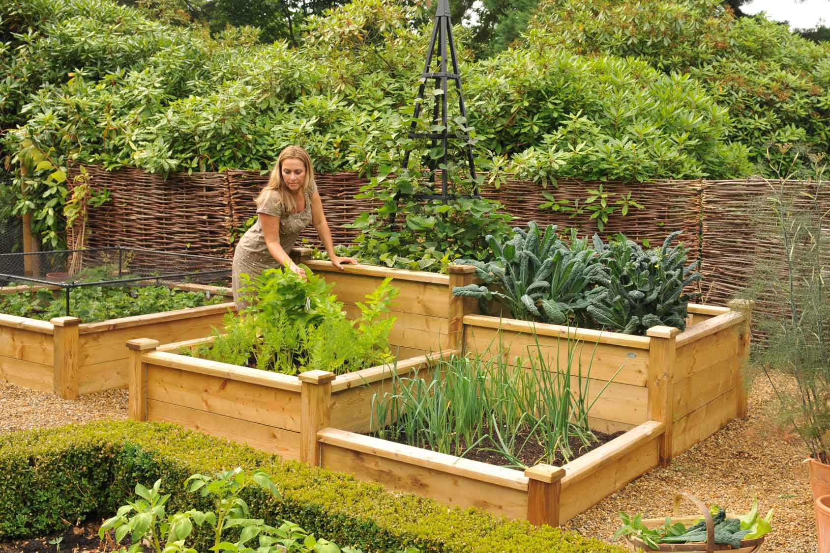 How to Build a Raised Garden Bed