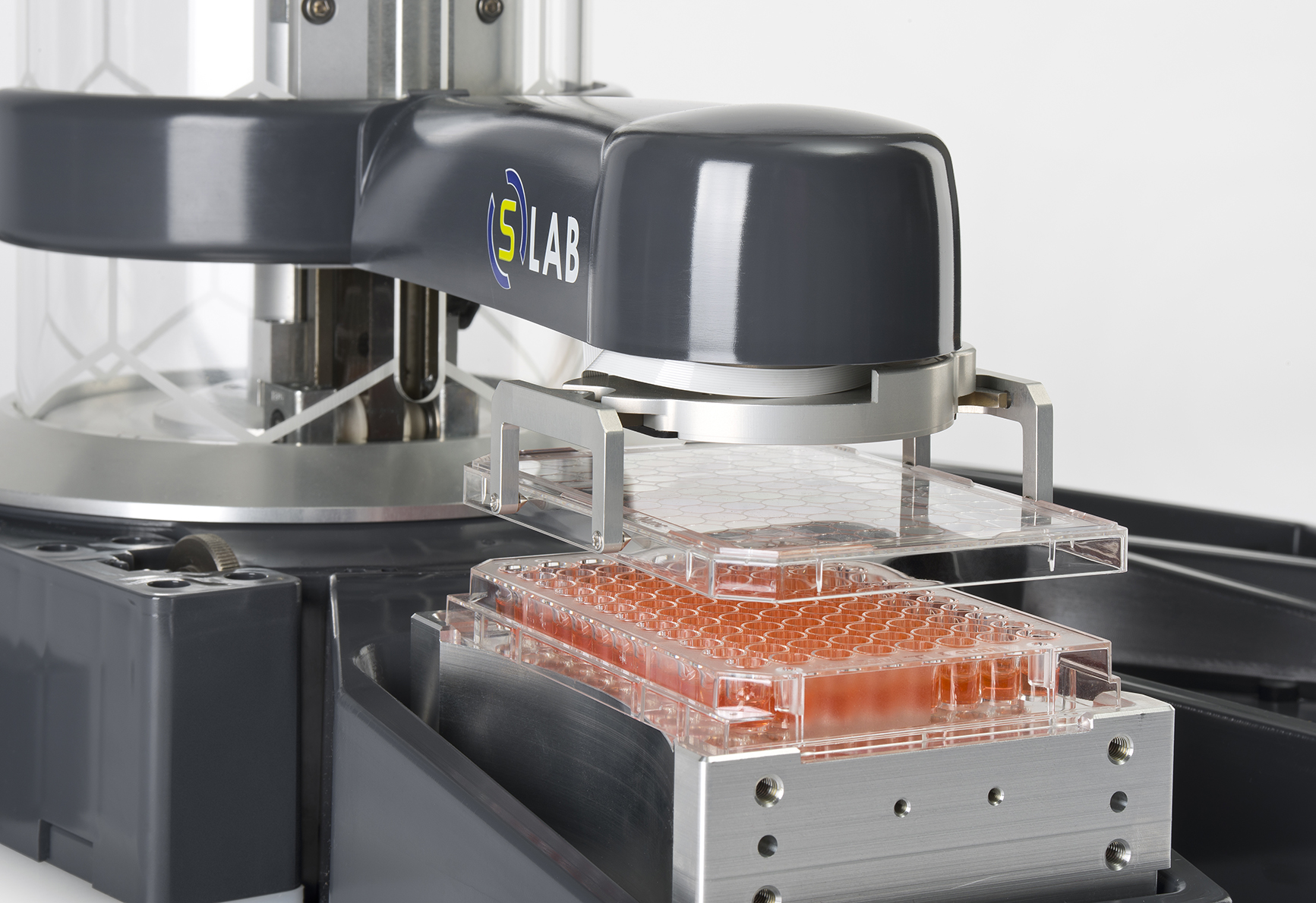 Automate Repetitive Tasks and Win Back Your Week