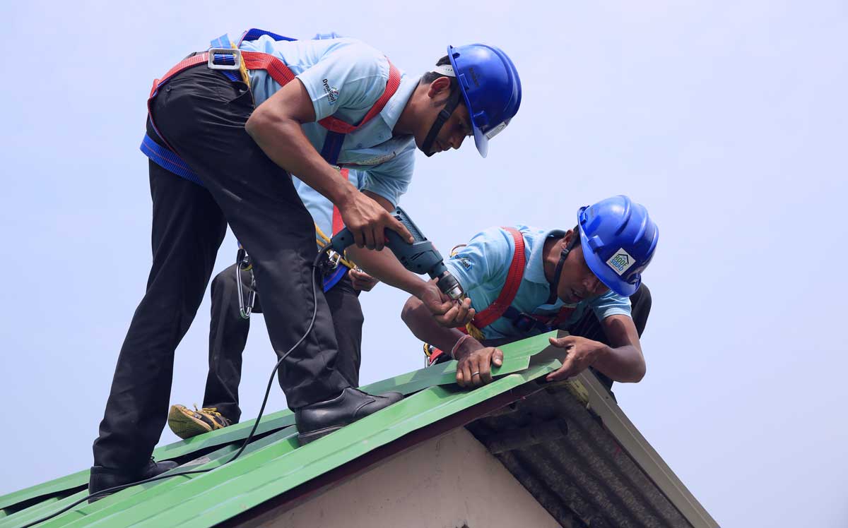 Les Avantages d'un Toit Végétalisé