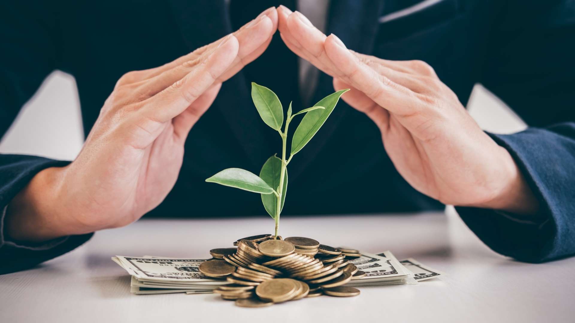 Die Grundlagen der Geldanlage