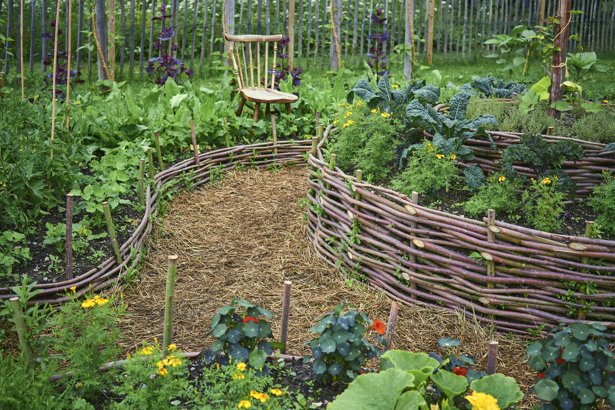 Container Gardening 101: Grow More in Pots and Planters
