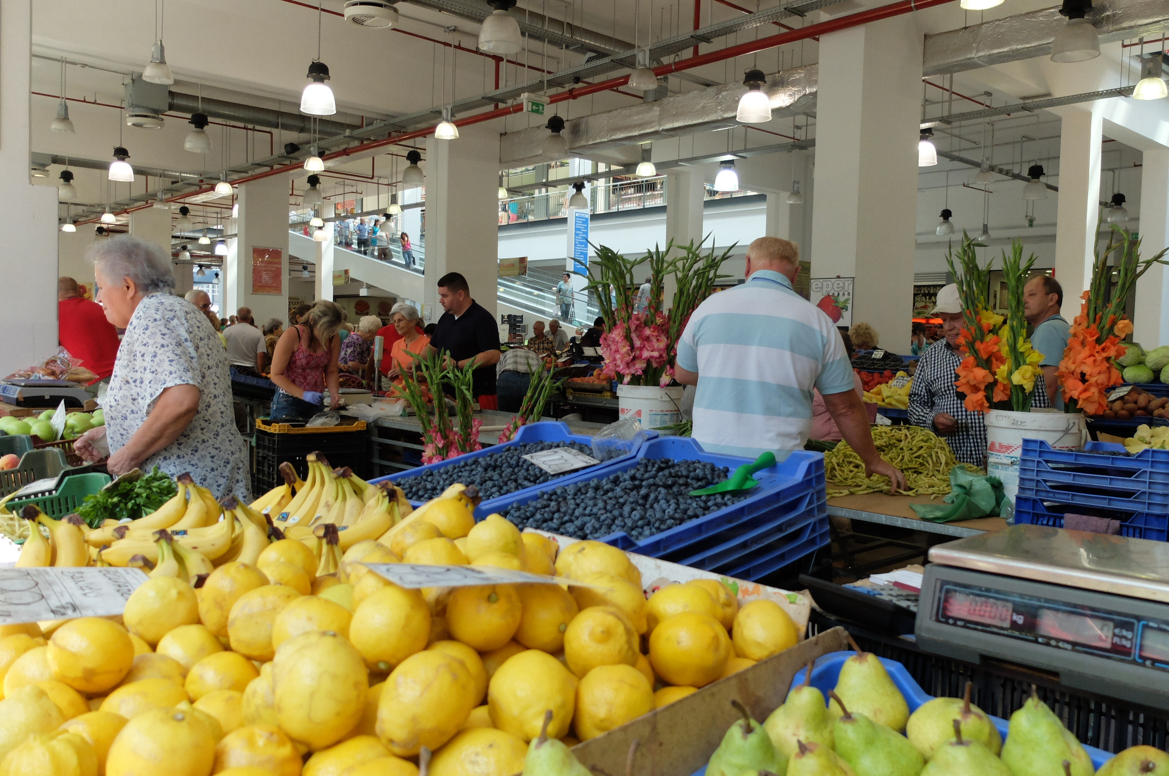 Los Mejores Mercados Locales para Comprar