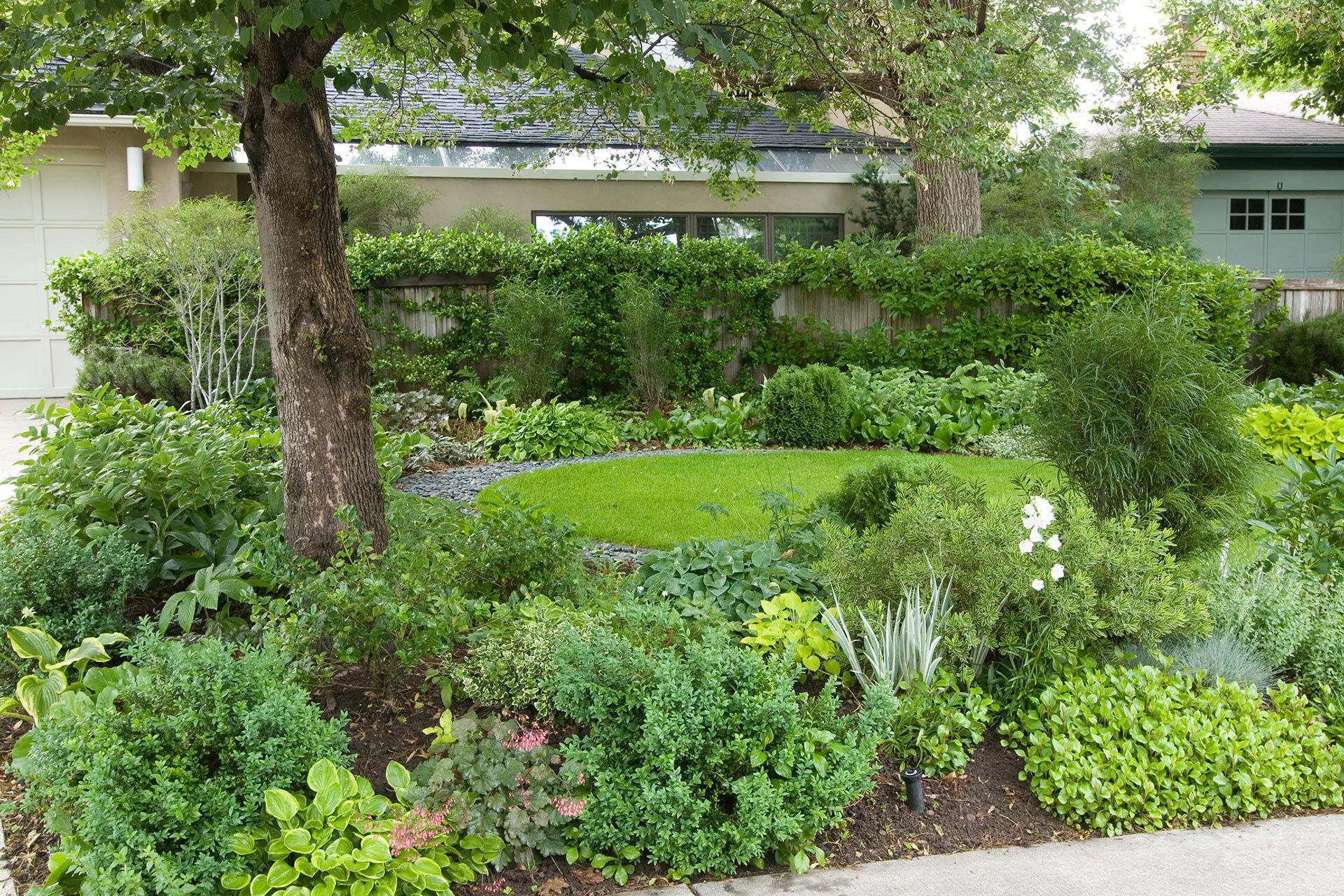 Die besten Pflanzen für schattige Gärten