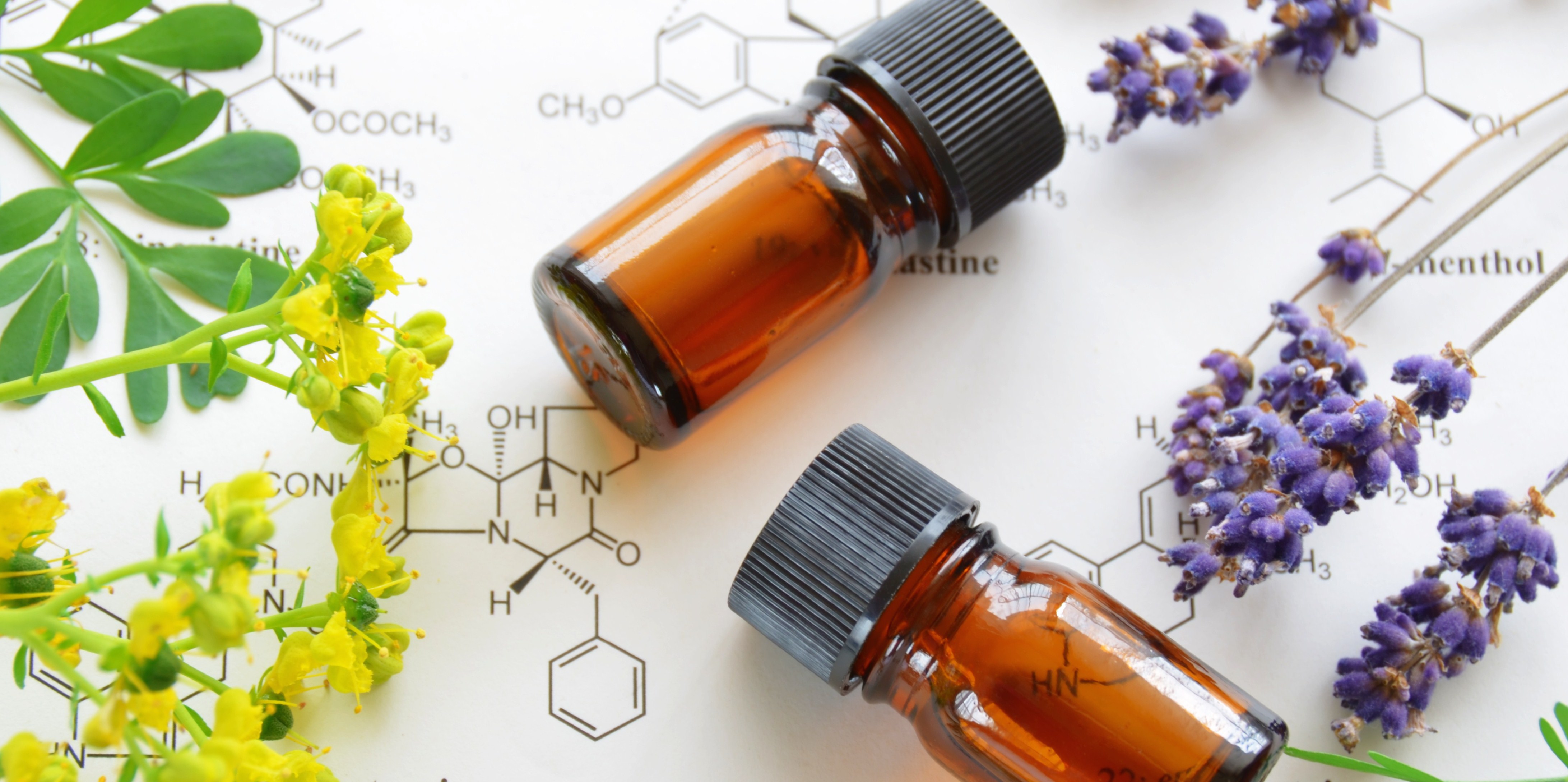 Les Bienfaits des Huiles Essentielles pour la Santé