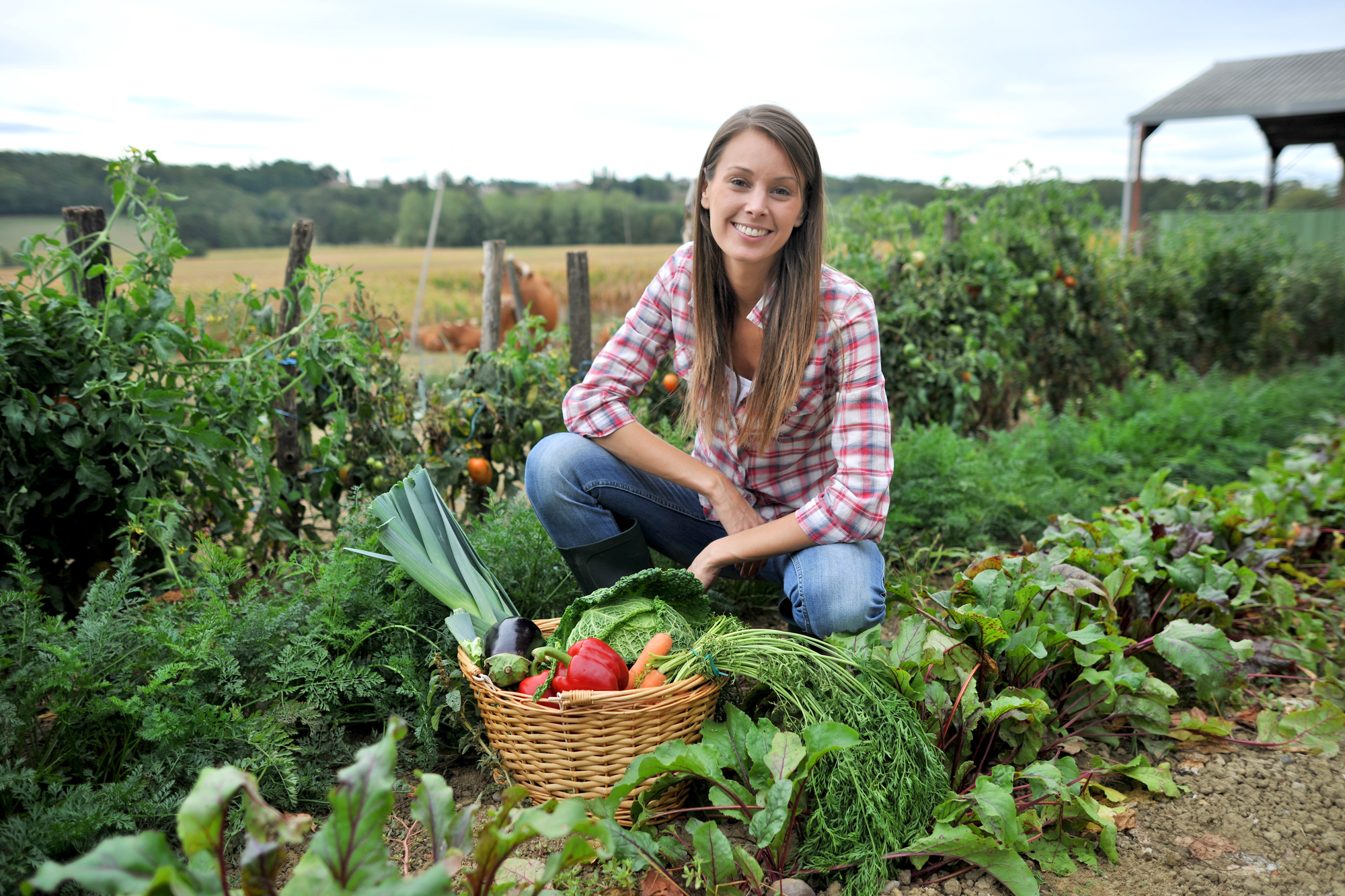 Créer un Potager Bio à la Maison