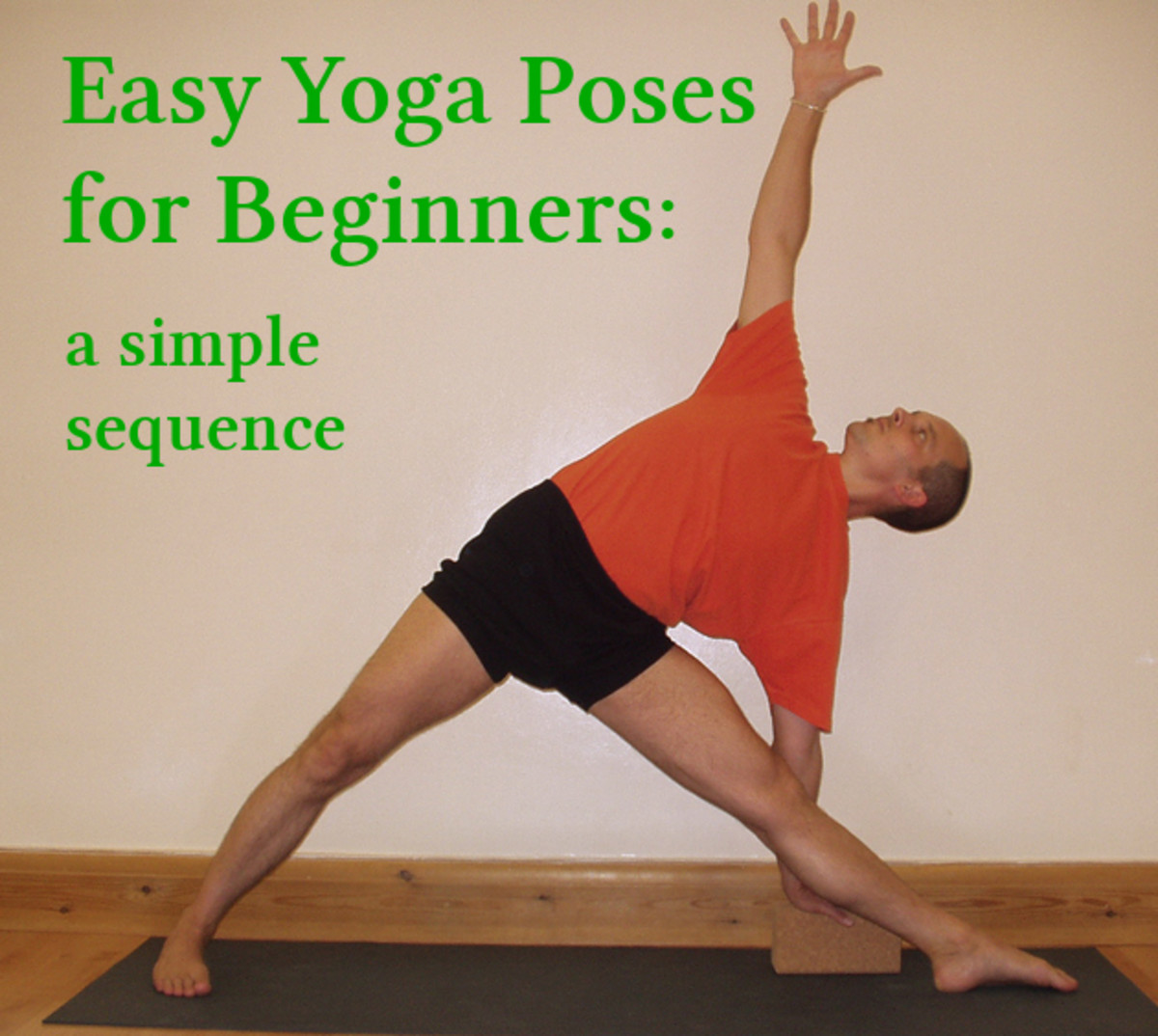Yoga for Beginners: Poses and Benefits