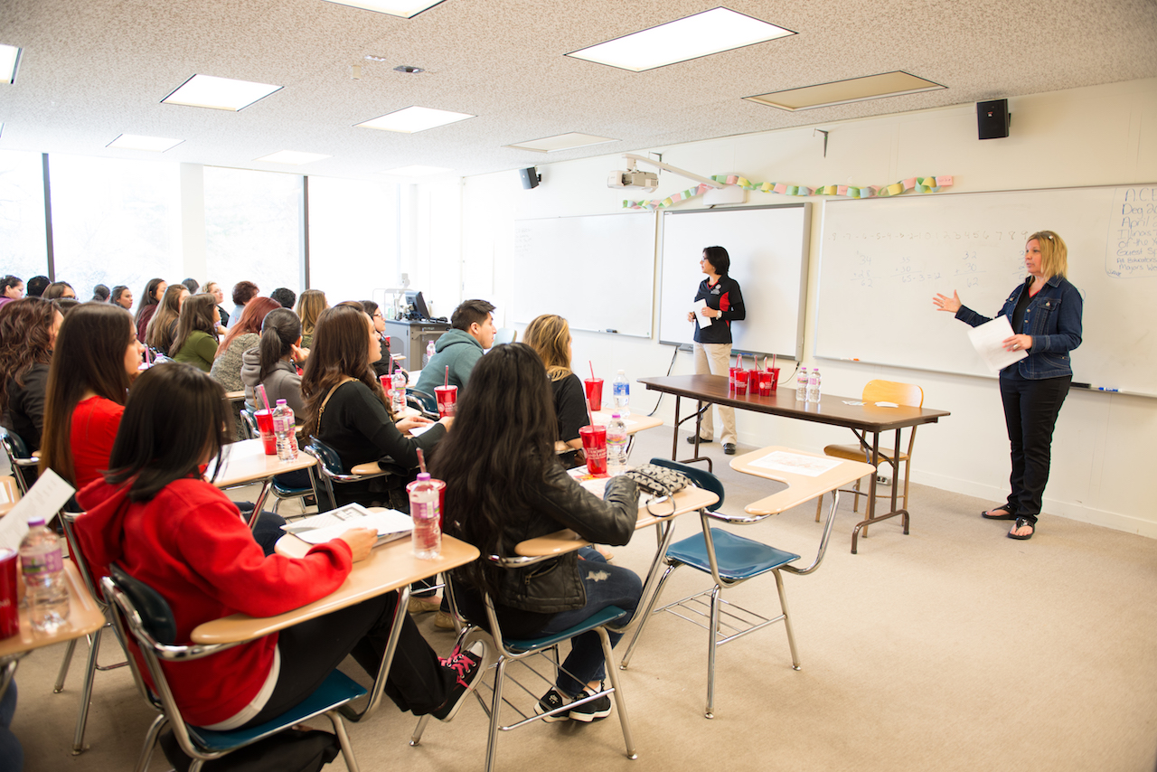 Les Études Supérieures : Quel Parcours Choisir ?