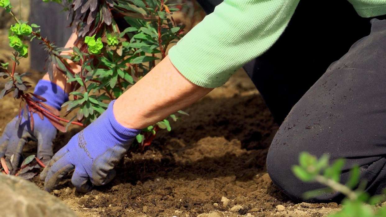 Hagearbeid for Nybegynnere