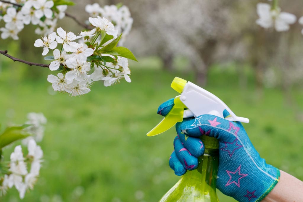 Skadedyr i haven: Skånsomme metoder der virker
