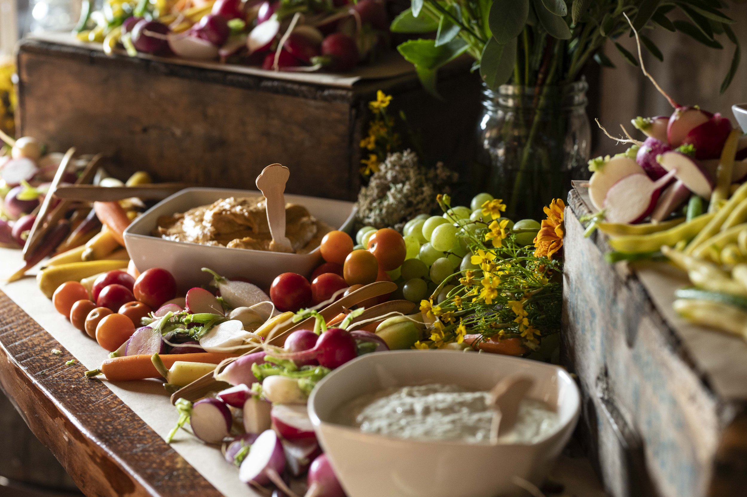 From Farm to Table: Understanding Your Food's Journey