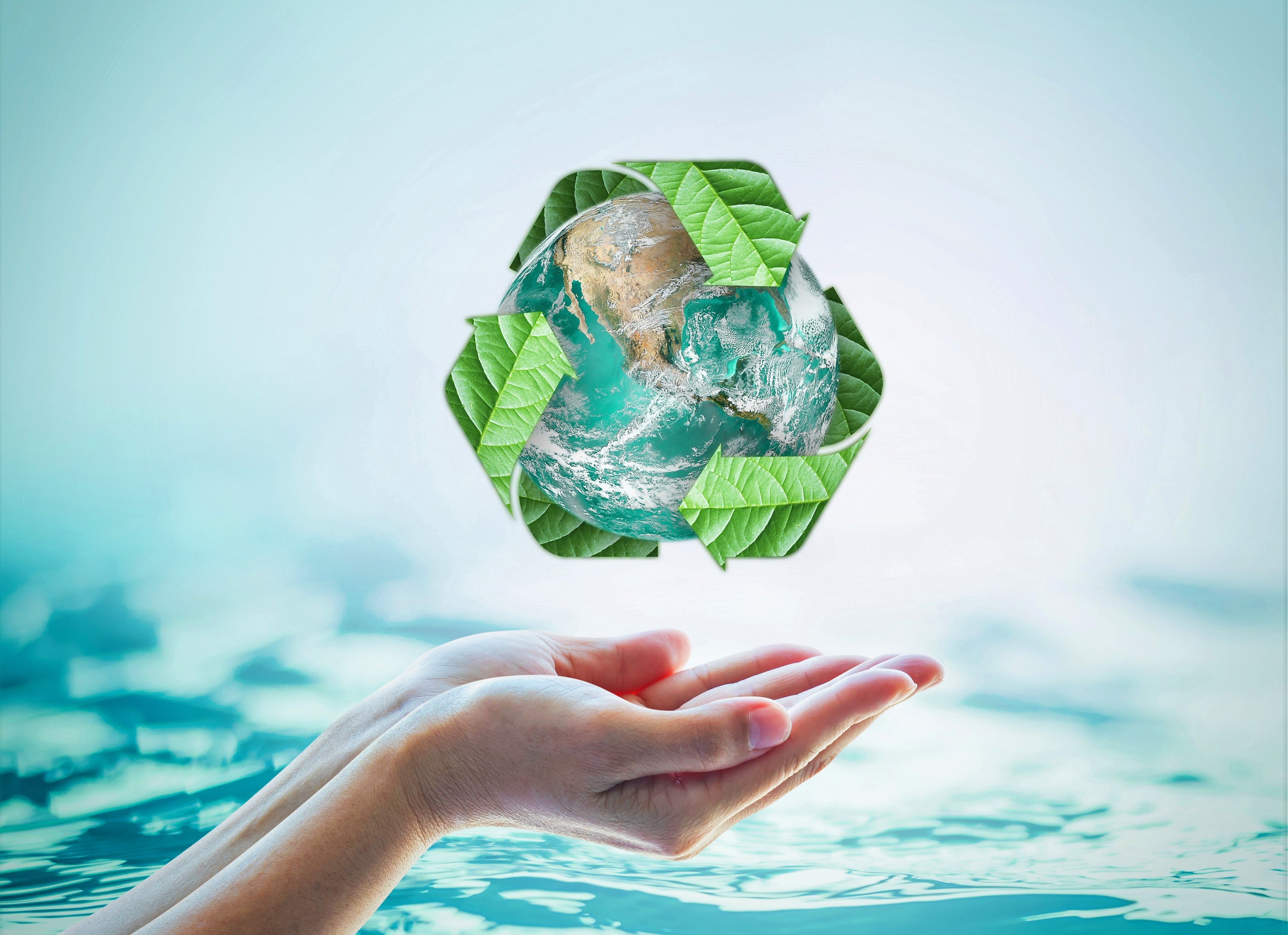 Sustainable Living: Trends to Embrace