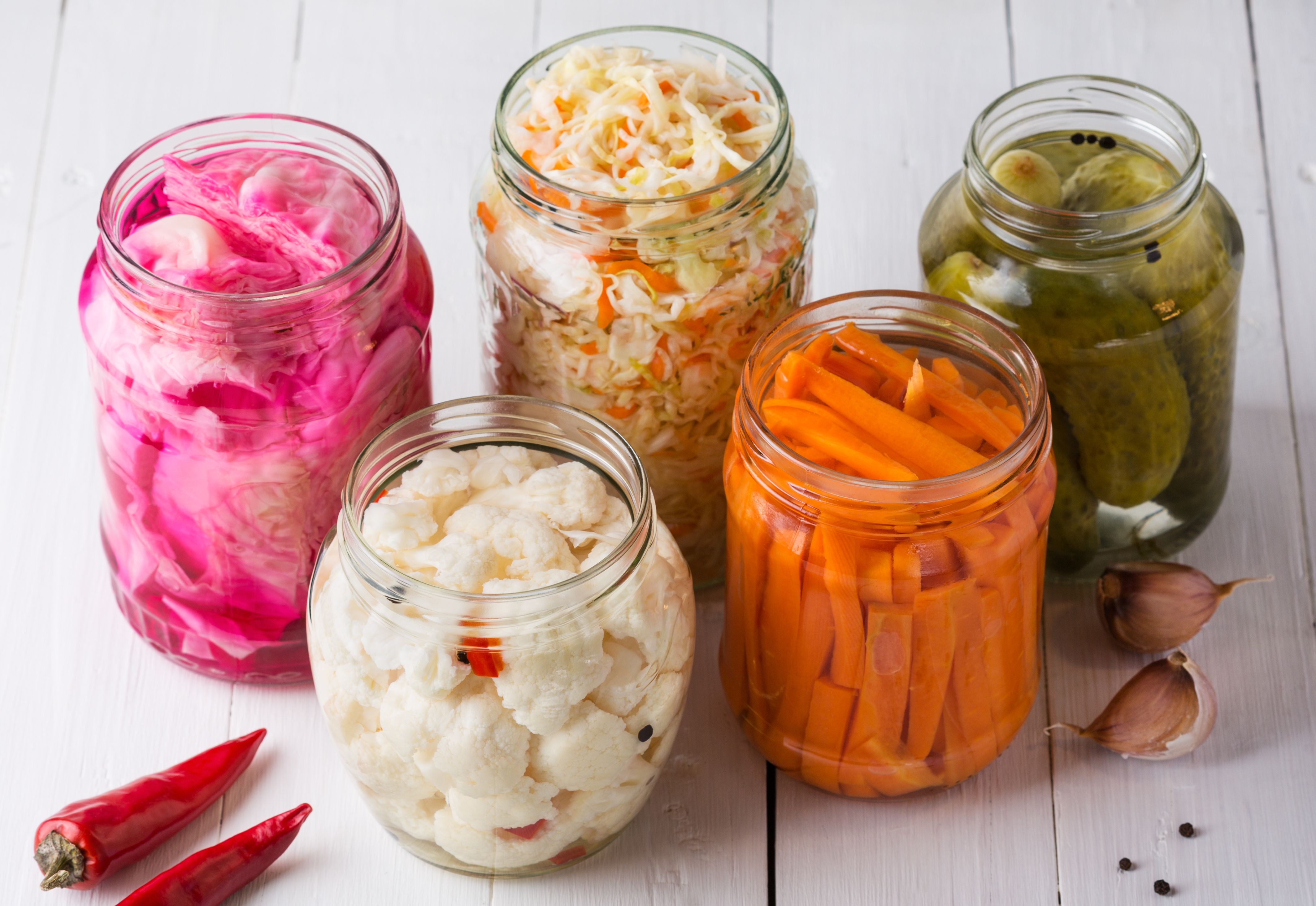 Exploring the World of Fermented Foods