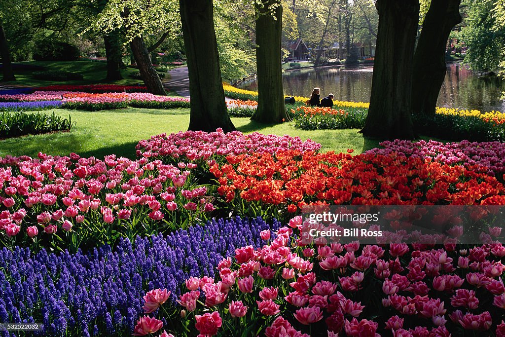 Farbenfrohe Blumenbeete für Ihren Garten