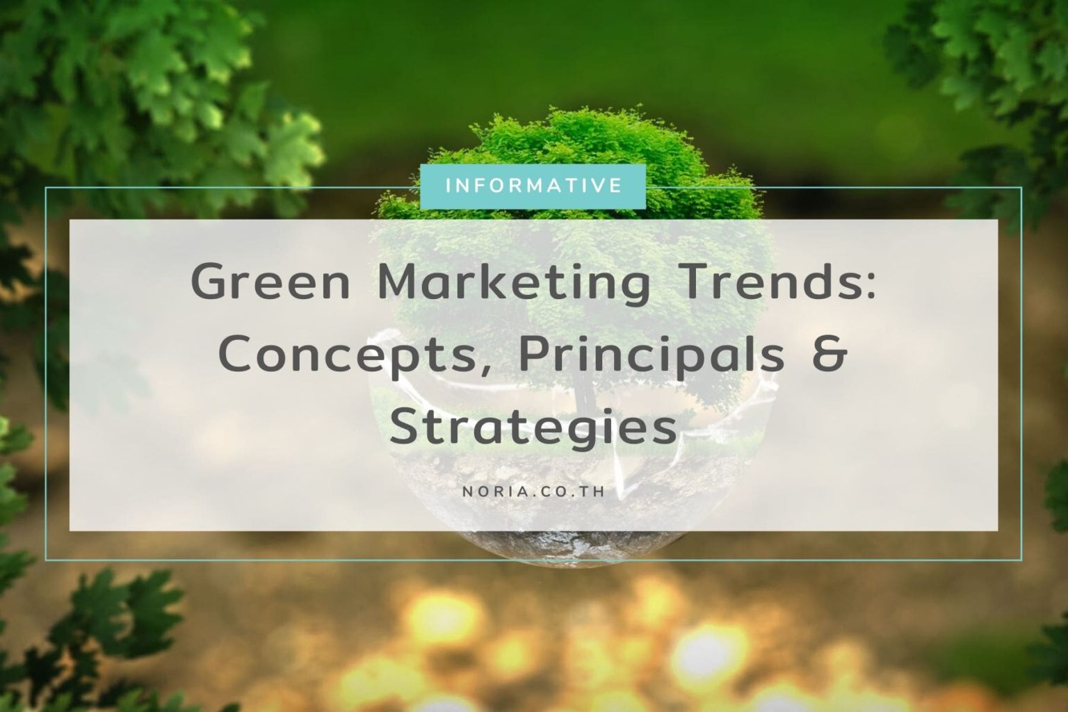 Consejos para Comprar de Forma Sostenible y Responsable