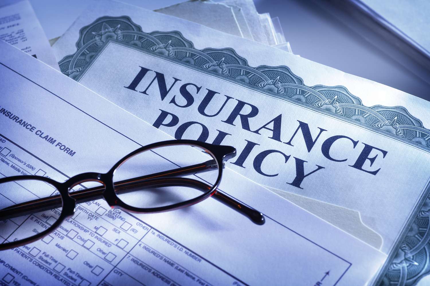 Insurance Basics: Protect What You've Built