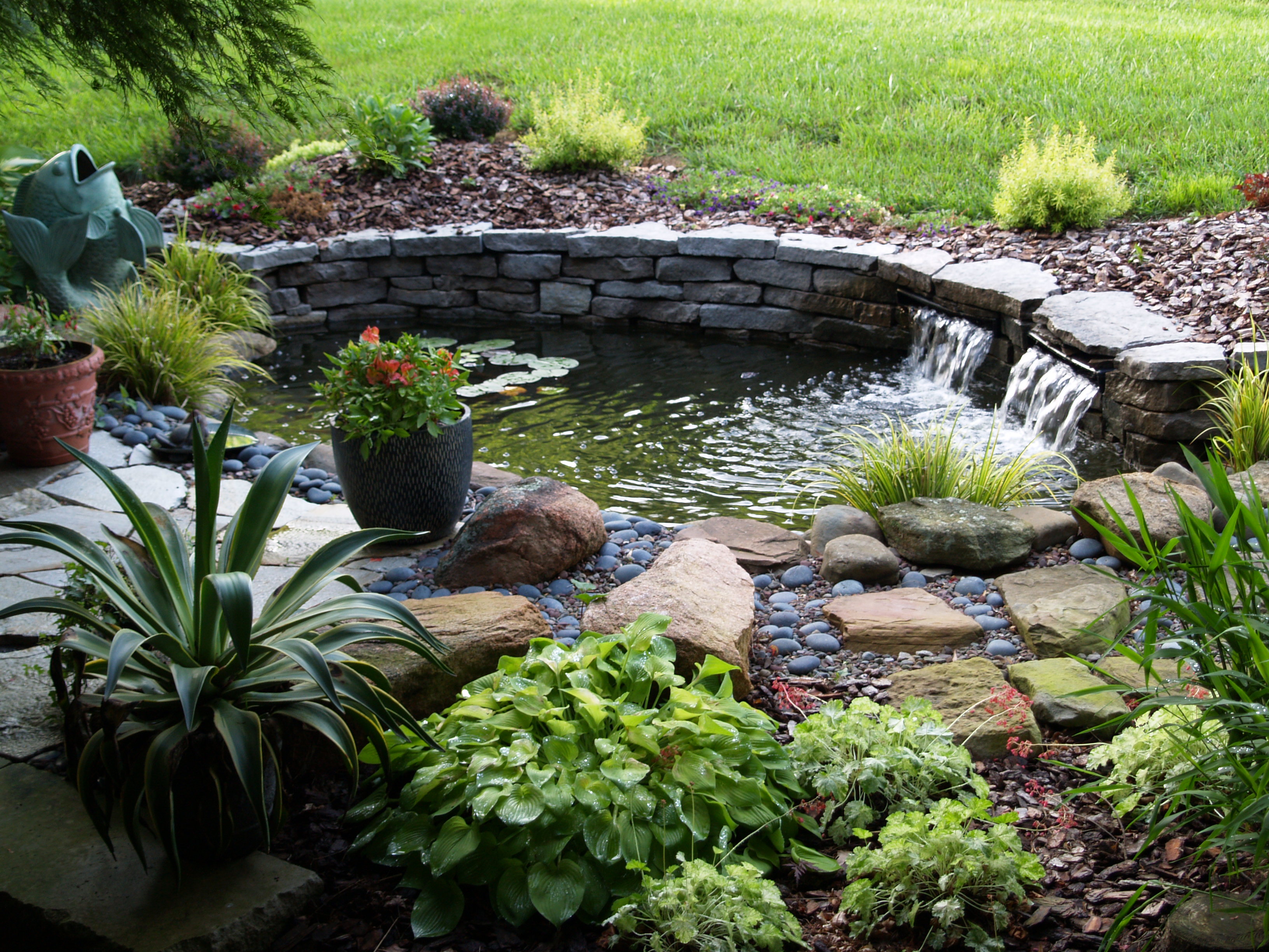 Incorporating Water Features into Your Garden
