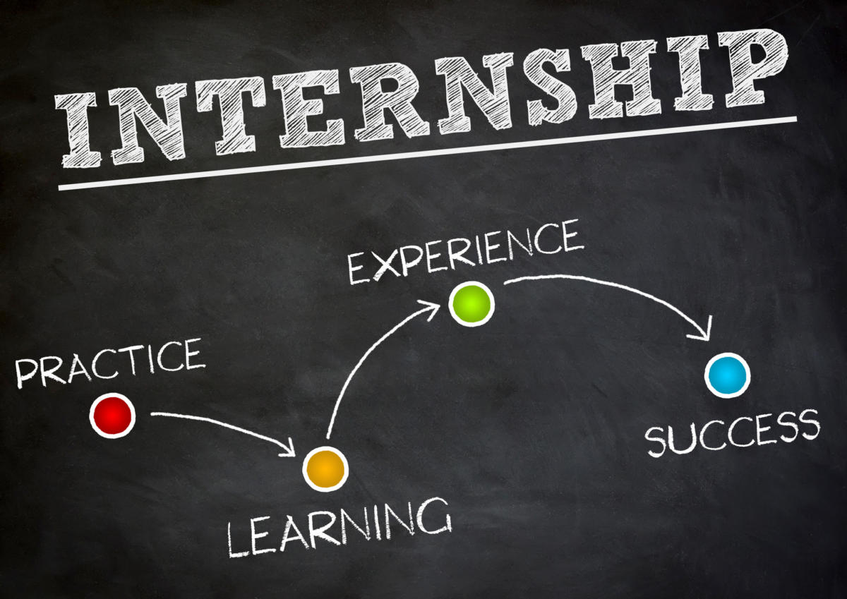 The Importance of Internships in Career Development